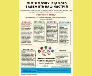 Хімія мозку: від чого залежить ваш настрій
